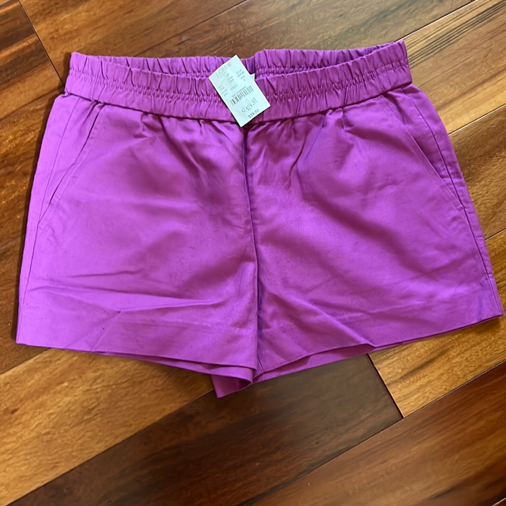 New JCrew Shorts - Size 4